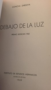 Debajo de la luz